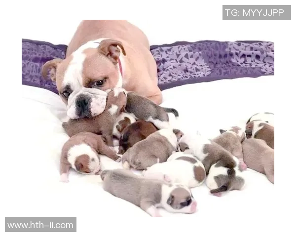 青少年足球游戏训练的创新方法与技巧提升全面指南